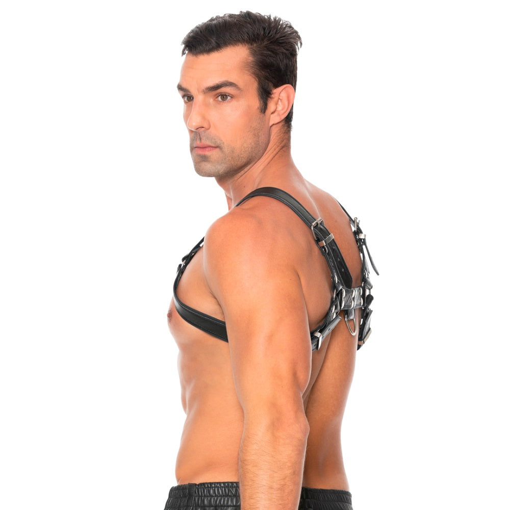 bulldog-leather-chest-harness-l-xl